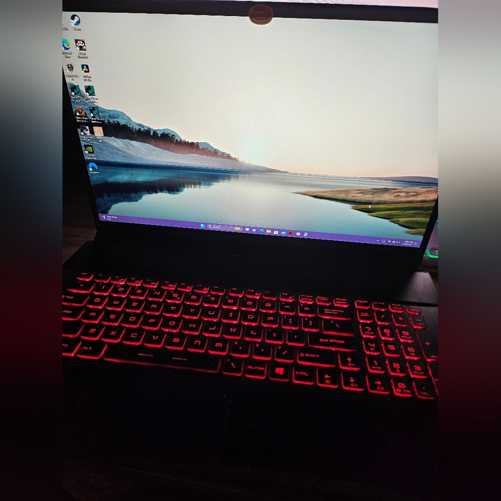 MSI GF75 Thin 17.3" Gaming Laptop with charger,and case